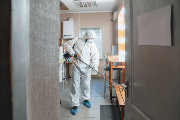 Best Mold Remediation for Healthcare Facilities  in Houston, PA