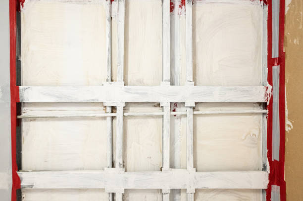 Best Black Mold Removal  in Houston, PA
