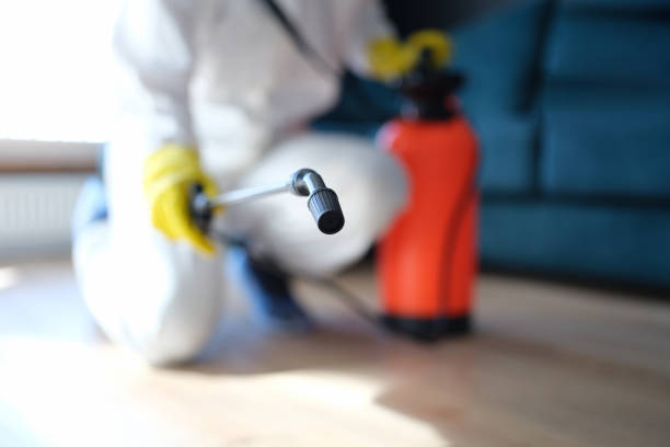 Best Emergency Mold Remediation  in Houston, PA